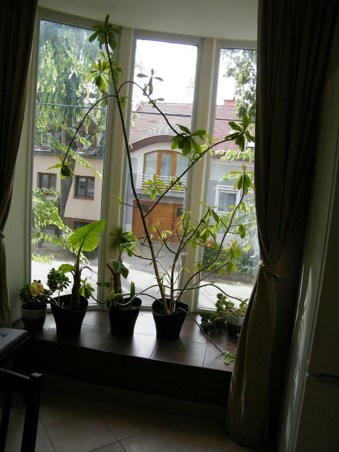 Apartament Ovarosban 1-2 Fotol 8-10 Foig Kenyelmes Szallas Debreţin